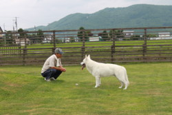 20100718103648