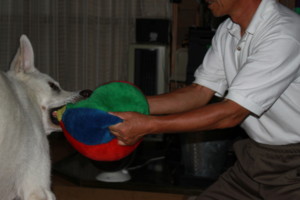20100719184931