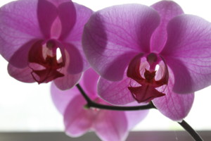 20100720164900