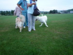 20100721050201
