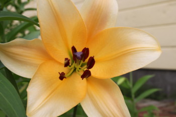 20100721094144