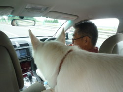 f:id:buhi84shin:20100805102744j:image:right f:id:buhi84shin:20100805102744j:image:right
