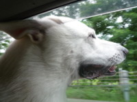 f:id:buhi84shin:20100805102948j:image:left f:id:buhi84shin:20100805102948j:image:left
