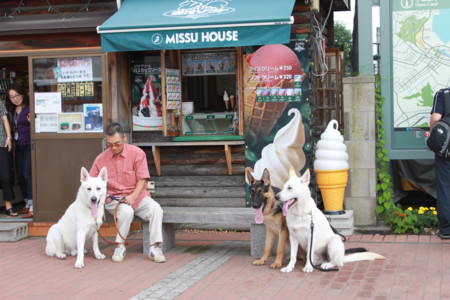 f:id:buhi84shin:20100805132008j:image f:id:buhi84shin:20100805132008j:image