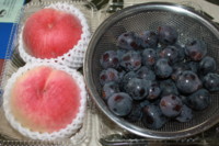 f:id:buhi84shin:20100807110245j:image:right