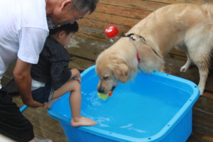 f:id:buhi84shin:20100807163249j:image:left