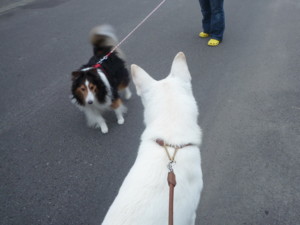 f:id:buhi84shin:20100809174000j:image:left f:id:buhi84shin:20100809174000j:image:left