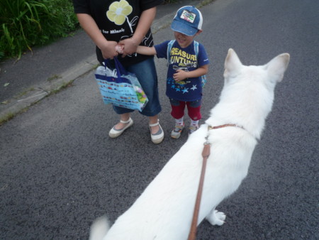 f:id:buhi84shin:20100809174233j:image f:id:buhi84shin:20100809174233j:image