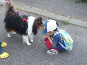 f:id:buhi84shin:20100809174249j:image:right f:id:buhi84shin:20100809174249j:image:right