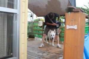 f:id:buhi84shin:20100809180113j:image:left f:id:buhi84shin:20100809180113j:image:left