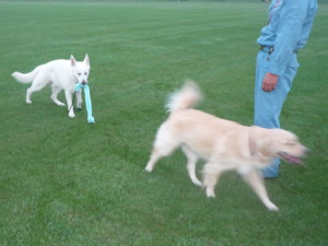 f:id:buhi84shin:20100811045930j:image:right f:id:buhi84shin:20100811045930j:image:right