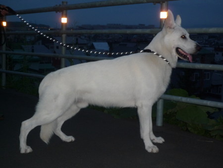 f:id:buhi84shin:20100814044630j:image f:id:buhi84shin:20100814044630j:image