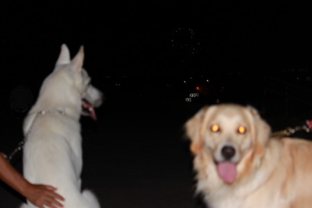 f:id:buhi84shin:20100814204533j:image f:id:buhi84shin:20100814204533j:image