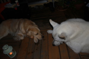 f:id:buhi84shin:20100815192010j:image:right f:id:buhi84shin:20100815192010j:image:right