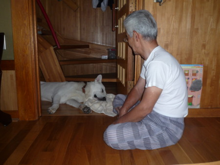 f:id:buhi84shin:20100816120201j:image