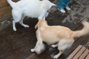 f:id:buhi84shin:20100821174401j:image:left f:id:buhi84shin:20100821174401j:image:left
