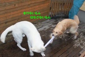 f:id:buhi84shin:20100821174409j:image f:id:buhi84shin:20100821174409j:image