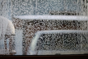 20101217084747