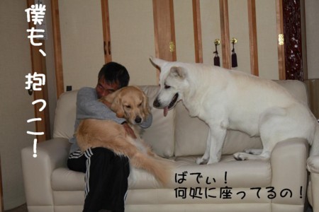 f:id:buhi84shin:20101224210328j:image
