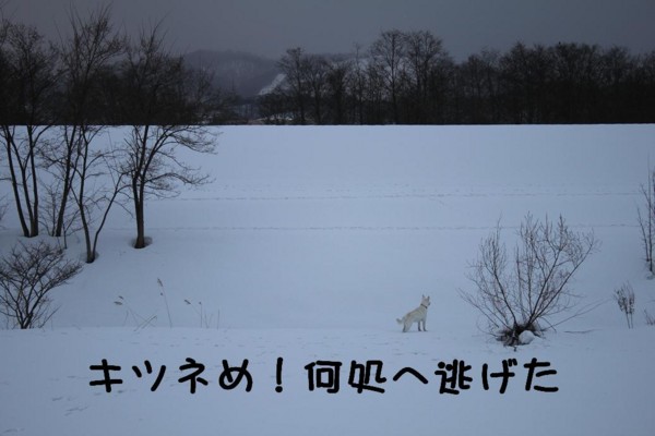 f:id:buhi84shin:20110321061044j:image