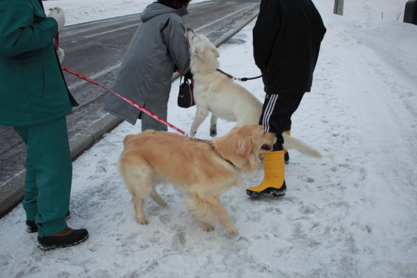 f:id:buhi84shin:20110321063042j:image:right