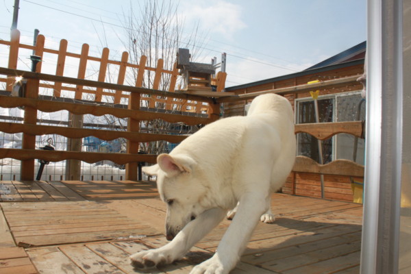 f:id:buhi84shin:20110326101624j:image f:id:buhi84shin:20110326101624j:image