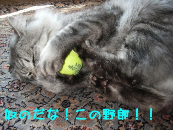 20110426220749