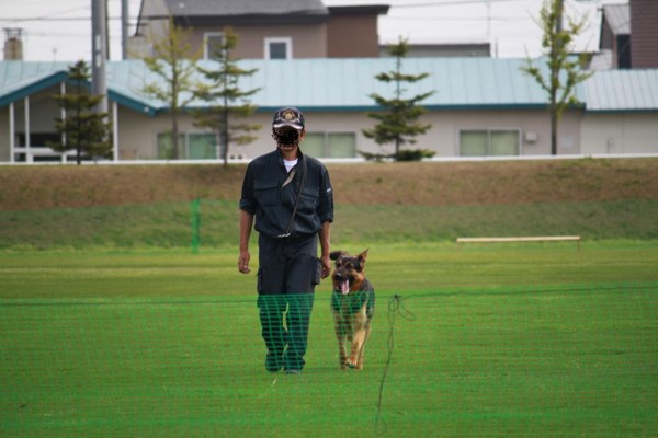 f:id:buhi84shin:20110605112446j:image:left