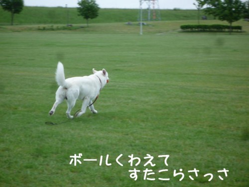 f:id:buhi84shin:20110615055727j:image:right