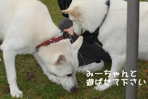 f:id:buhi84shin:20111015104848j:image:right f:id:buhi84shin:20111015104848j:image:right