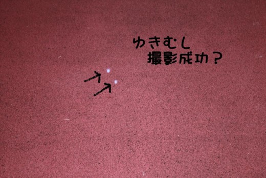 20111016065205