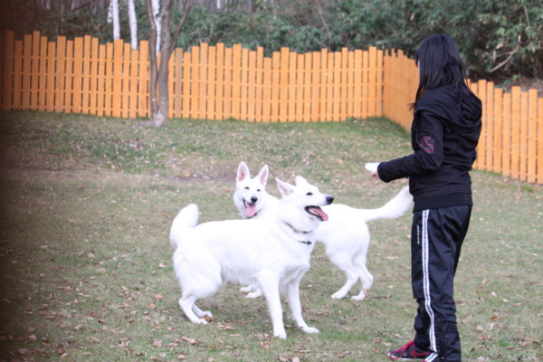 f:id:buhi84shin:20111106115952j:image:right