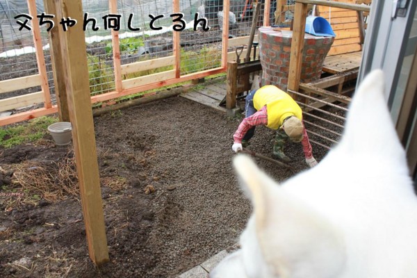 f:id:buhi84shin:20111120094125j:image