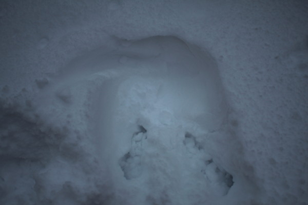 f:id:buhi84shin:20111121155512j:image