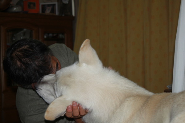 f:id:buhi84shin:20111214200616j:image