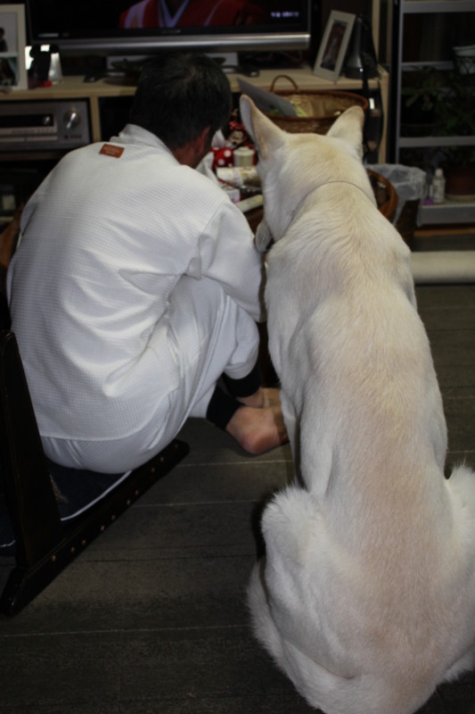 f:id:buhi84shin:20111219204940j:image