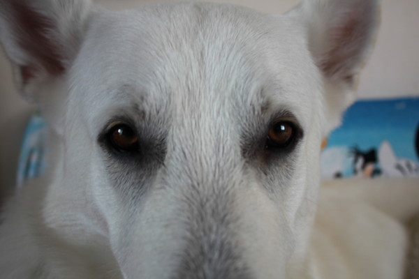 f:id:buhi84shin:20111225123709j:image