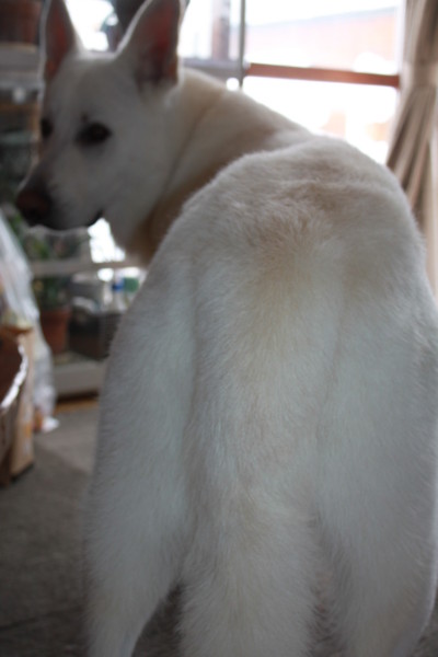 f:id:buhi84shin:20111230133522j:image