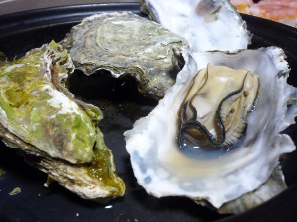 f:id:buhi84shin:20111231184719j:image