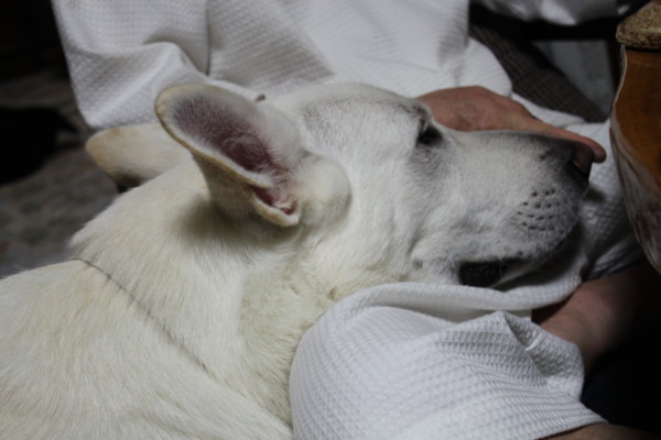 f:id:buhi84shin:20111231185308j:image