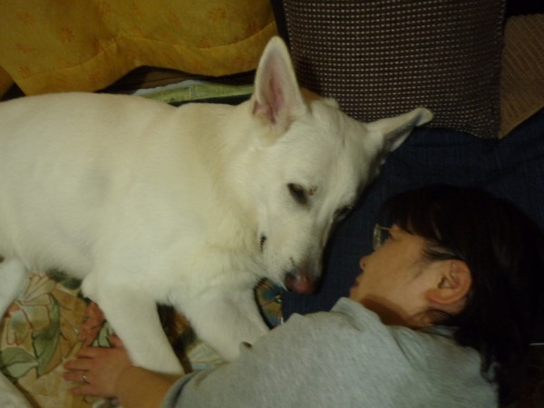 f:id:buhi84shin:20111231203422j:image