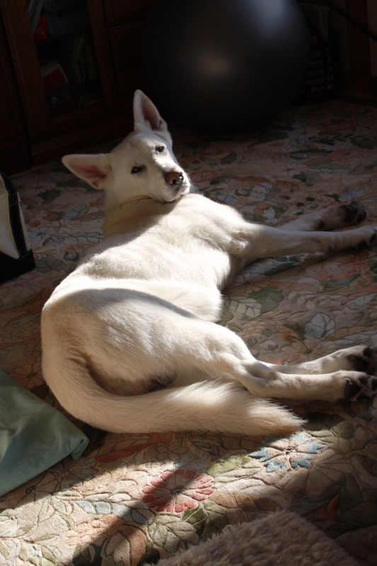 20120202210036