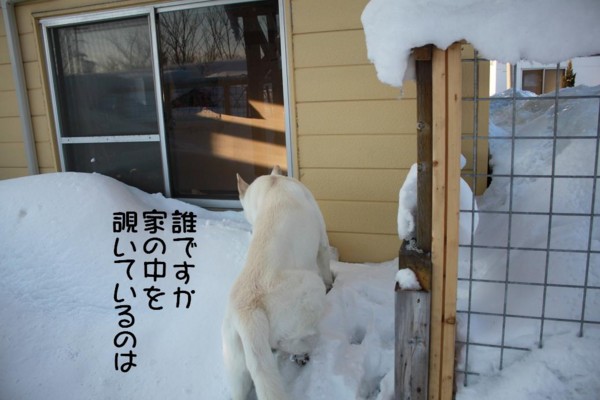 f:id:buhi84shin:20120224205224j:image