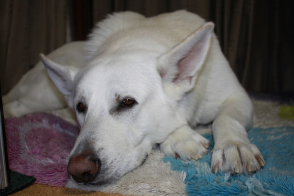 f:id:buhi84shin:20120228225609j:image f:id:buhi84shin:20120228225609j:image