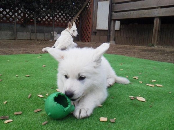 f:id:buhi84shin:20120229223039j:image f:id:buhi84shin:20120229223039j:image