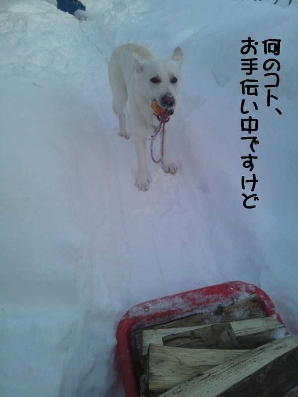 f:id:buhi84shin:20120229224042j:image f:id:buhi84shin:20120229224042j:image