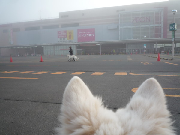 f:id:buhi84shin:20120421155717j:image