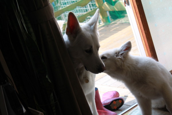 f:id:buhi84shin:20120421190950j:image