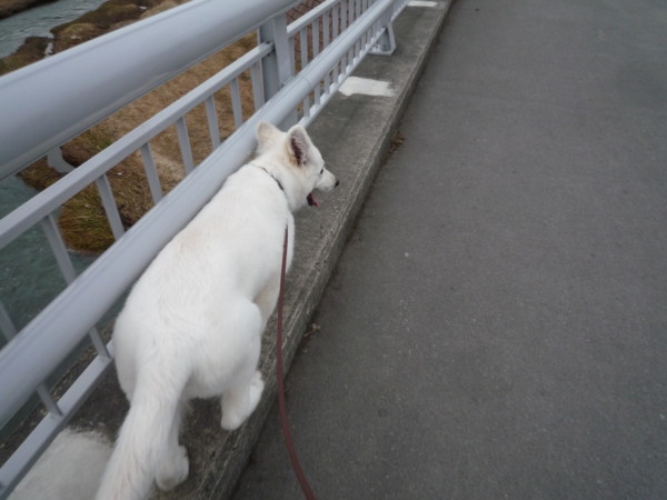 f:id:buhi84shin:20120424202152j:image