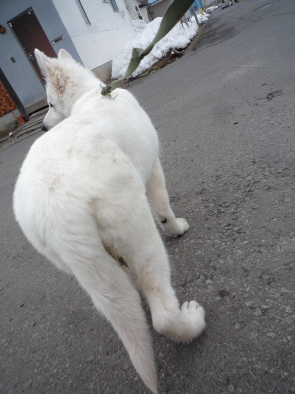 f:id:buhi84shin:20120424203627j:image